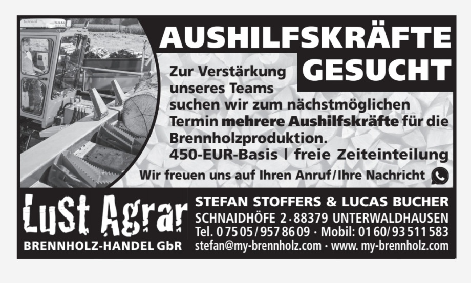 Referenzbild