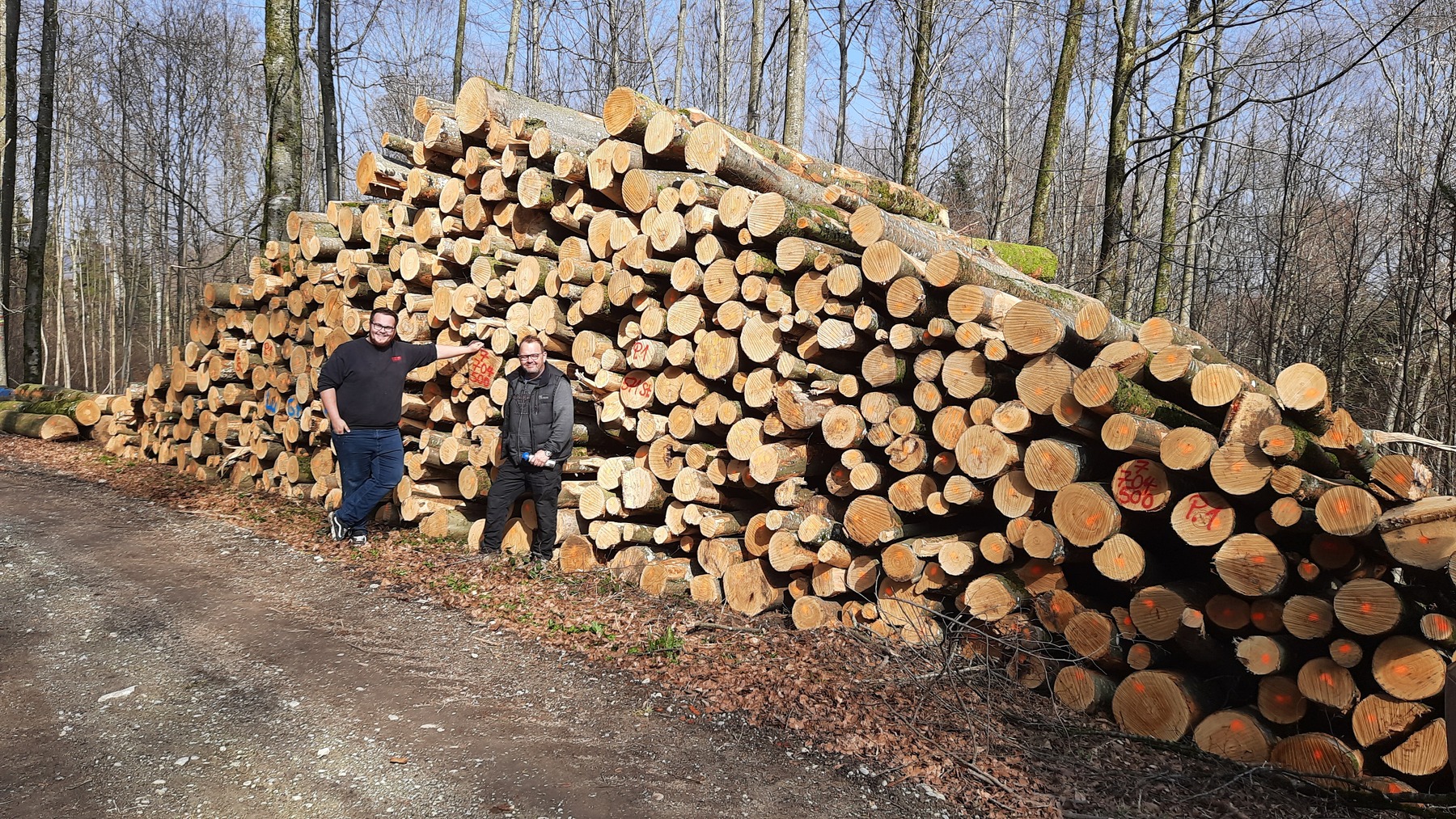 Stammholz An- und Verkauf