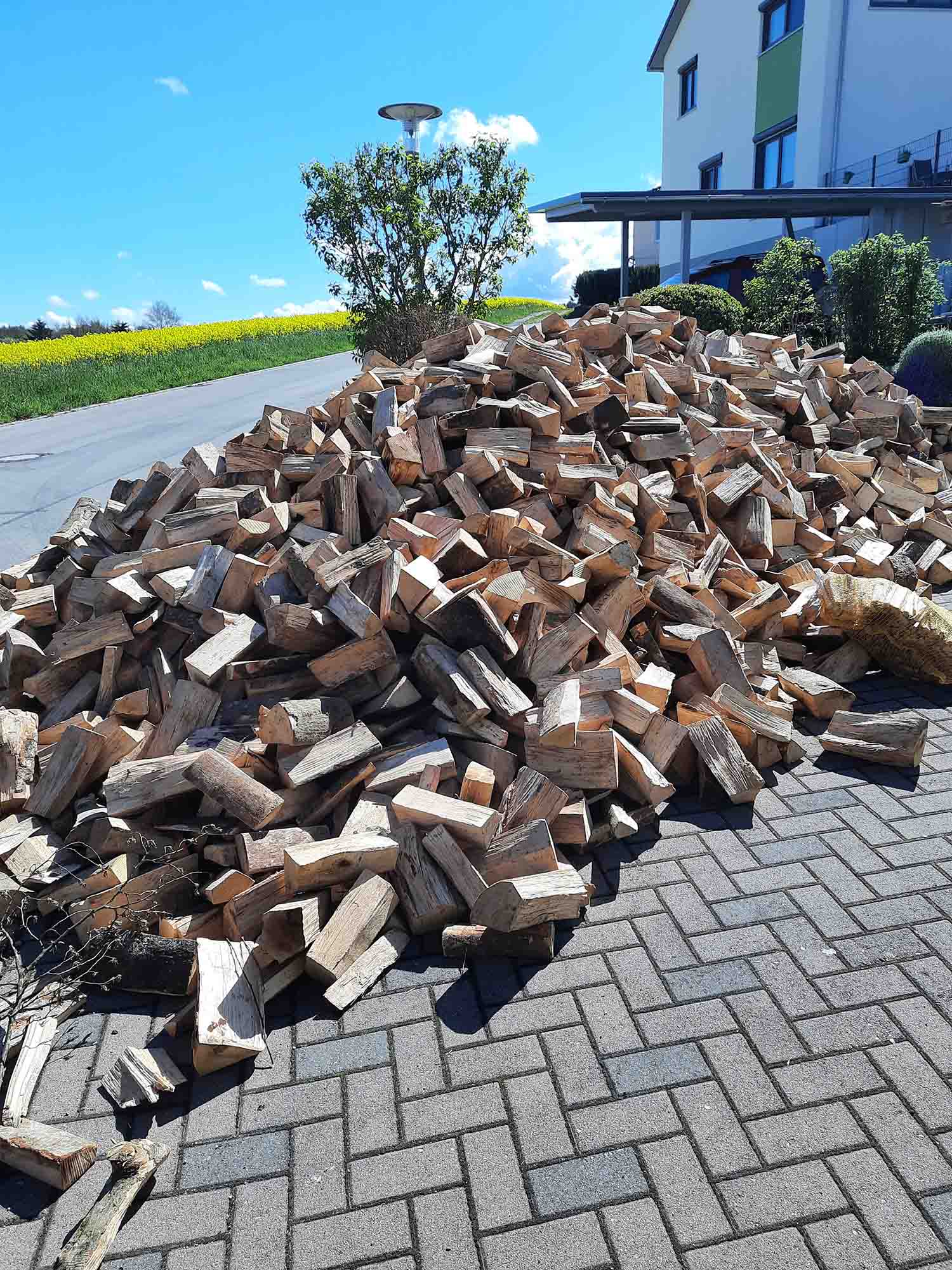 Brennholz verkauf